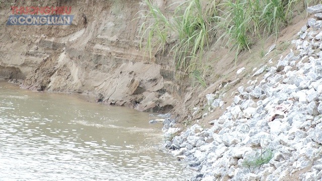 Phú Thọ: Ngăn chặn khai thác cát trái phép ở vùng giáp ranh - Hình 2
