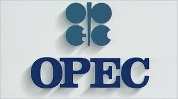Iran: OPEC sẽ không áp dụng chính sách theo yêu cầu của Mỹ - Hình 1