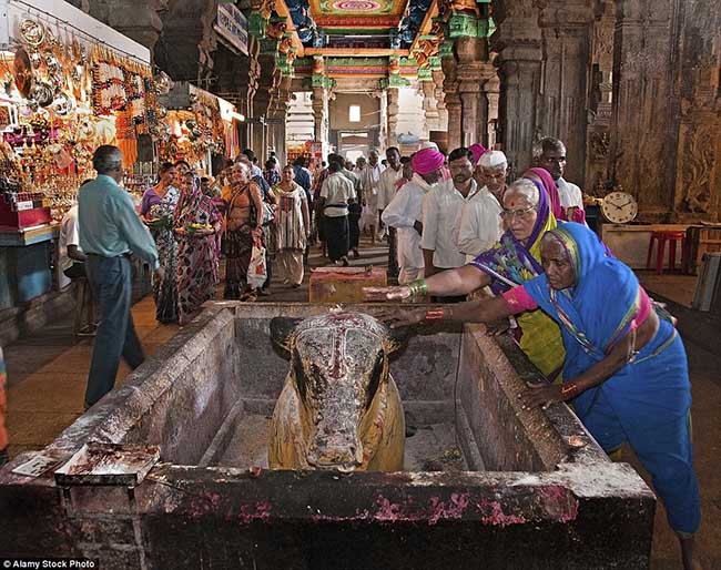 Meenaskshi – ngồi đền đa màu sắc nổi tiếng tại miền Nam Ấn Độ - Hình 4