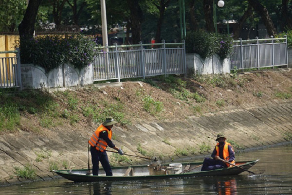 Sông Phú Lộc, Đà Nẵng: Cá chết hàng loạt bốc mùi hôi thối - Hình 2