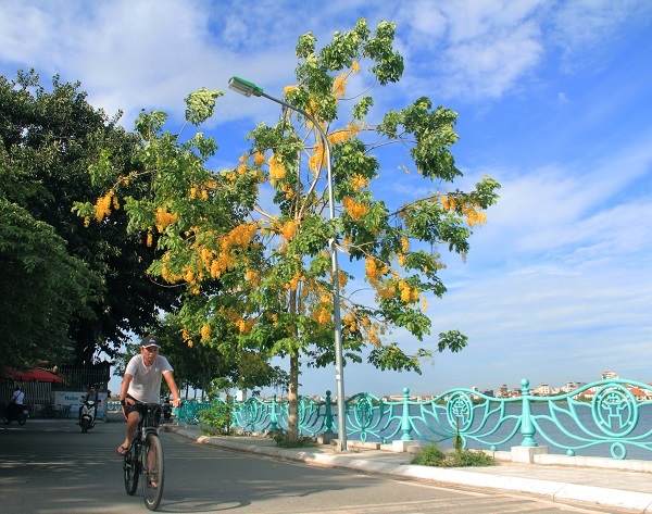 Hoàng Yến về, nhuộm rực hè Hà Nội - Hình 7