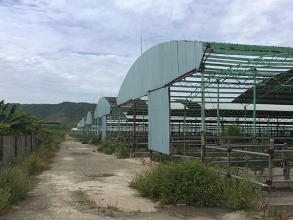 Khởi tố, bắt tạm giam hai bị can liên quan dự án nghìn tỷ tại Hà Tĩnh