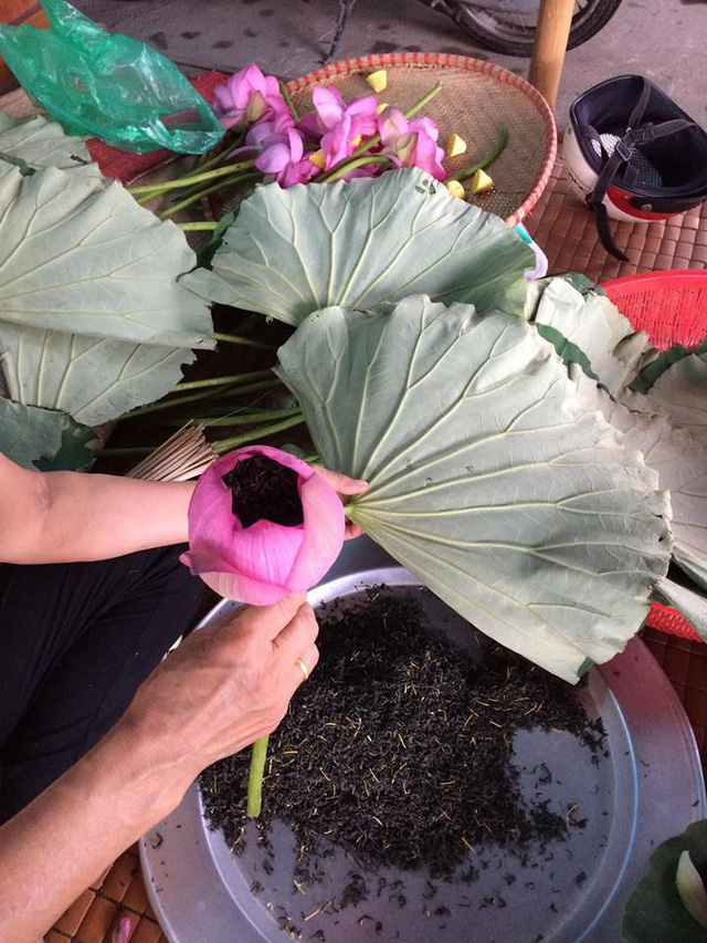 "Siêu phẩm" trà ướp hoa sen giá 40 nghìn đồng/búp hút dân Hà thành