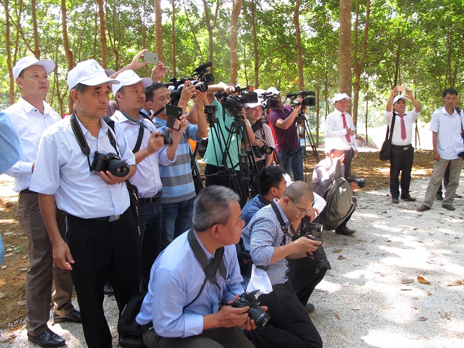 Tản mạn chữ nghĩa thời hội nhập
