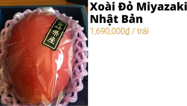 'Giật mình' với 1,7 triệu đồng/1 quả xoài đỏ