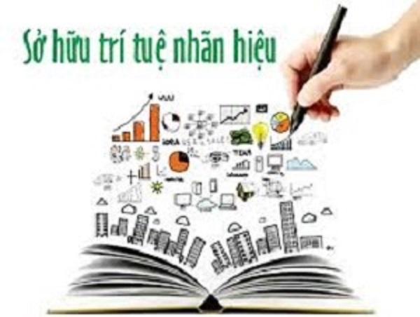 Cục Sở hữu trí tuệ cấp 11.400 văn bằng bảo hộ trong 5 tháng đầu năm