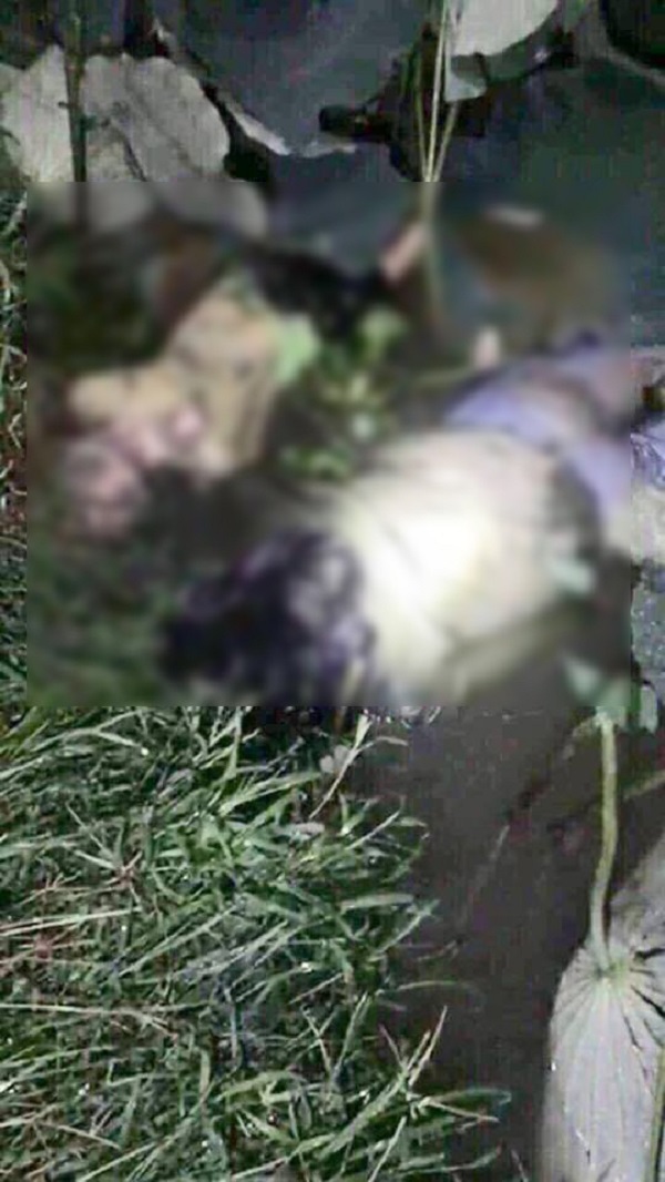 Bắc Giang: Thực hư vụ livestream phát hiện xác 3 người bị giết - Hình 1
