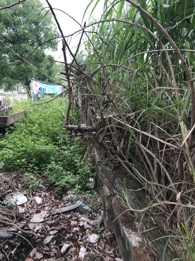 Hải Dương: Đất “vàng” bị bỏ hoang? - Bài 2: Vì sao chính quyền không xử lý dứt điểm?