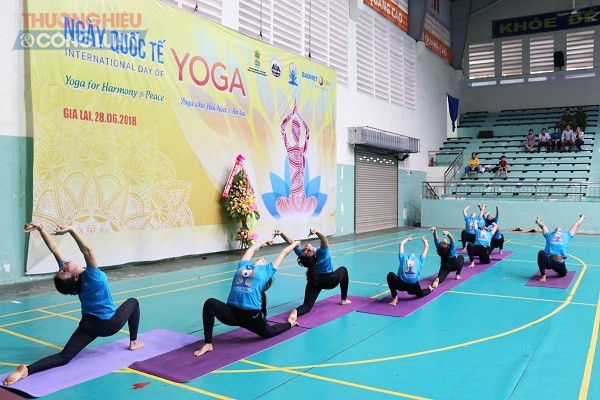 Gia Lai: Tổ chức sự kiện nhân ngày Quốc tế Yoga - Hình 2