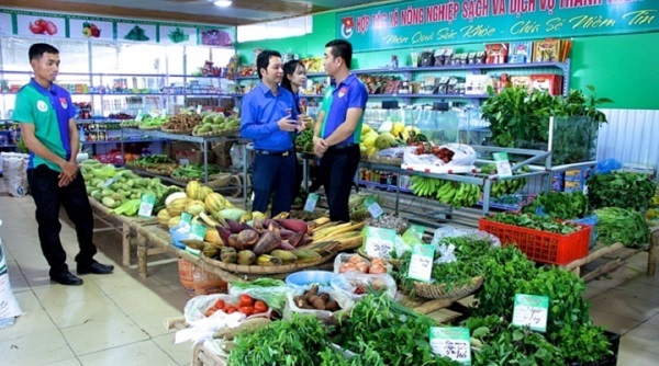 Nghệ An: Lệch pha cung-cầu nông sản