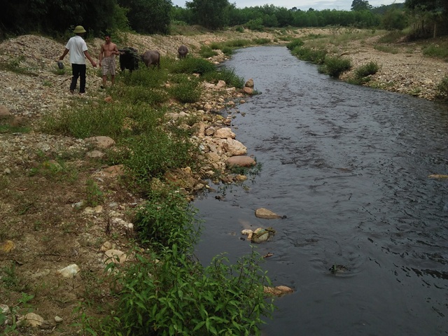 Nghệ An: Người dân 'tố' trang trại lợn xả thải, ô nhiễm môi trường
