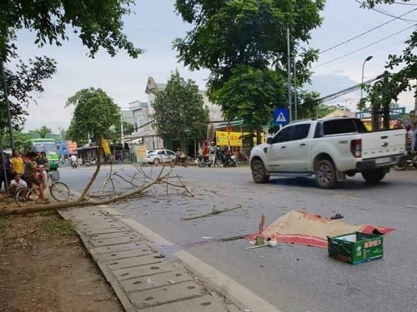 Thương tâm cặp đôi sắp cưới bị cành cây rơi trúng, 2 người thương vong