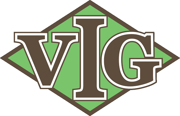 VIG bị xử phạt vi phạm hành chính 60 triệu đồng