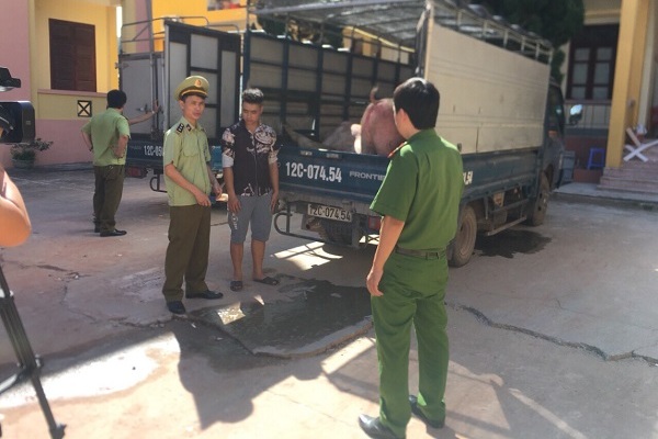 Lạng Sơn: Bắt giữ trên 3 tấn lợn thịt nhập lậu - Hình 1