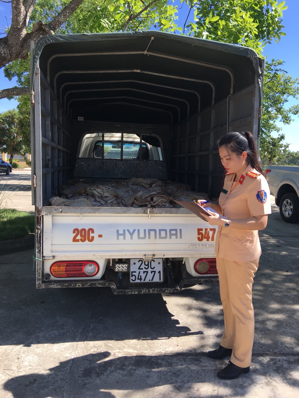 Thanh Hóa: Bắt giữ vụ vận chuyển 1 tấn bì lợn bốc mùi hôi thối