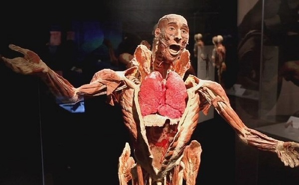 TP. HCM: Triển lãm "Sự bí ẩn của cơ thể người" gây nhiều tranh cãi