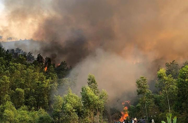 Thanh Hóa: Cháy rừng dữ dội giữa thời tiết nắng nóng - Hình 1