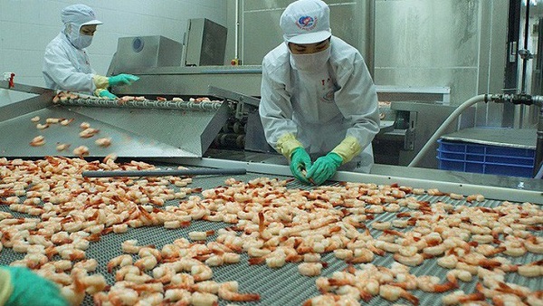 Xuất khẩu tôm nấu chín sang Úc thêm nhiều điều kiện mới