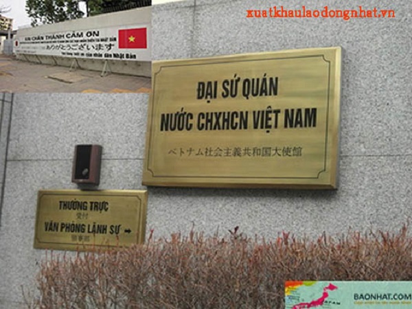 Giao kế hoạch đầu tư xây dựng Cơ quan đại diện Việt Nam ở nước ngoài cho Bộ Ngoại giao