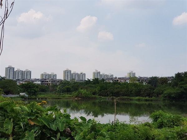 Những quyết định thần tốc 'giúp Ecopark đánh úp' nông dân Văn Giang - Hình 3