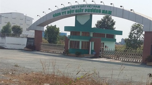 Nhà máy Bột giấy Phương Nam: Sau ba lần đấu giá, thanh lý vẫn không có ai mua