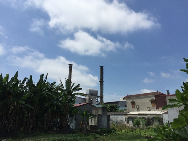 Quận Dương Kinh (Hải Phòng): Cần khắc phục triệt để tình trạng ô nhiễm môi trường
