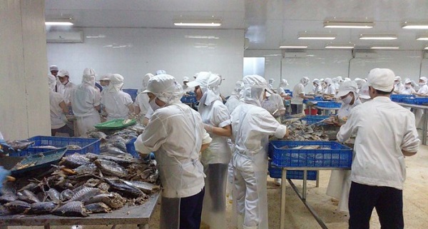 Không tăng lương tối thiểu: Sự vô cảm với đời sống công nhân