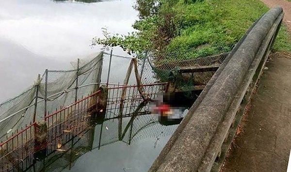 Sóc Sơn (Hà Nội): Tìm thấy thi thể cô gái nổi dưới ao nước ở xã Nam Sơn - Hình 1