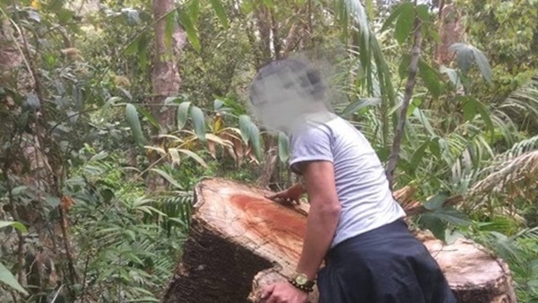 Gia Lai: Kỷ luật nhiều cán bộ nhân viên Ban Quản lý rừng phòng hộ Ia Ly