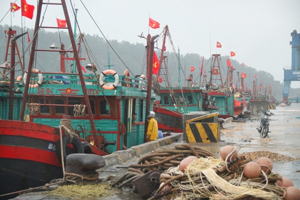 Nghệ An: Ban hành Công điện khẩn để phó với cơn bão số 3 - Hình 1