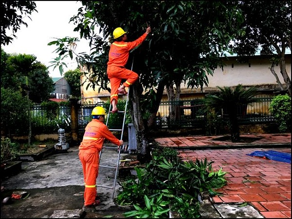 Tổng công ty Điện lực miền Bắc sẵn sàng ứng phó với bão số 3