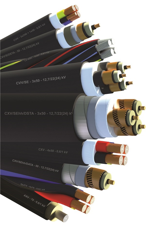 CADIVI nhìn lại một chặng đường hơn 40 năm hình thành và phát triển