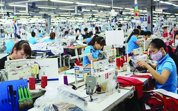 TNG báo lãi đạt 45,4 tỷ đồng trong quý II, tăng 67% so với cùng kỳ