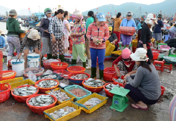 TP Đà Nẵng phê duyệt đề án thí điểm tổ chức bán đấu giá hải sản ở chợ đầu mối - Hình 2