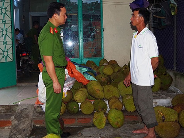 Hà Nam: Phát hiện cơ sở phù phép mít xanh thành mít chín bằng hóa chất