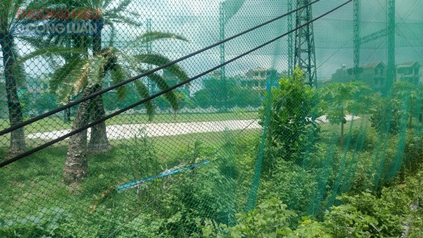 Cận cảnh dự án Sân tập golf “mọc” trên đất quy hoạch xây công viên tại Bắc Giang - Hình 4