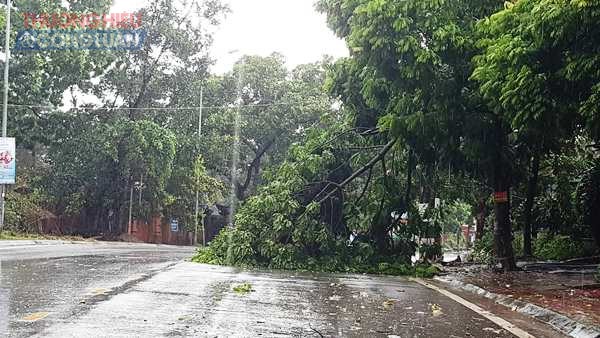 Vĩnh Phúc: Xuất hiện cơn dông lớn, một cổng chào bị quật đổ - Hình 2