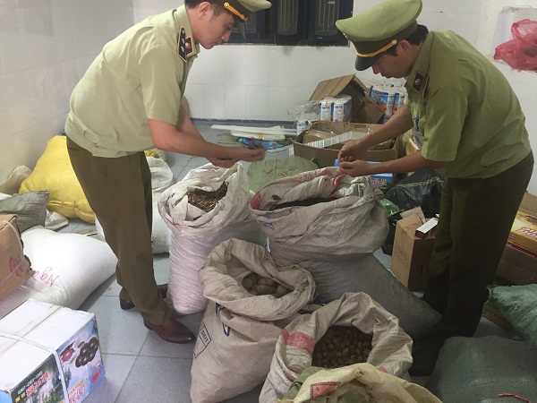 Bắt giữ hơn 700 kg dược liệu không rõ nguồn gốc tại Nghệ An - Hình 1