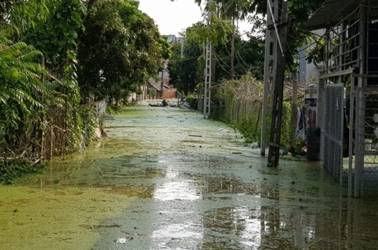 Hà Nội: Thăm hỏi, động viên nhân dân huyện Chương Mỹ bị ảnh hưởng bởi mưa lũ - Hình 3