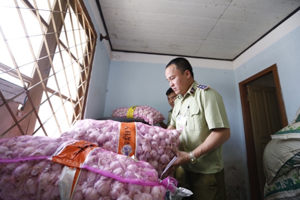 Lâm Đồng: Tịch thu gần 4 tấn cà rốt Trung Quốc nhập lậu - Hình 1