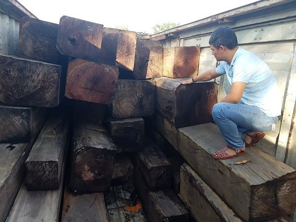 Gia Lai: Phát hiện và bắt giữ container chở gỗ lậu - Hình 1