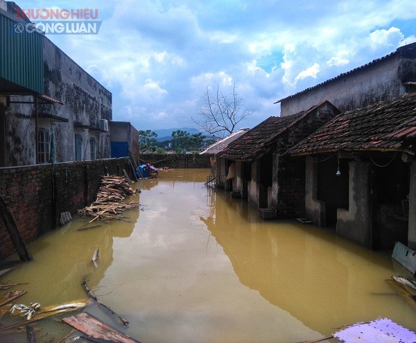 Ngập tại Chương Mỹ: Người dân “oằn” mình với lụt - Hình 13