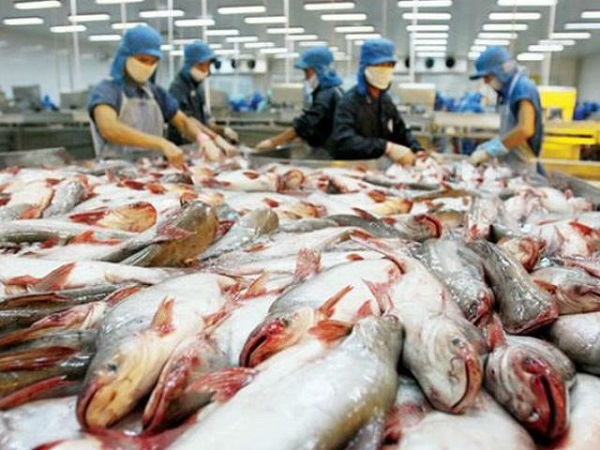 Chậm nộp báo cáo tài chình, Thuỷ sản Hùng Vương bị nhắc nhở