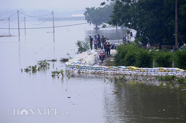 Hà Nội: Hơn 6.000 người phải sơ tán vì nước sông Bùi trên mức báo động 3 - Hình 2