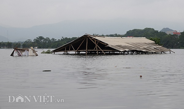 Hà Nội: Hơn 6.000 người phải sơ tán vì nước sông Bùi trên mức báo động 3 - Hình 1