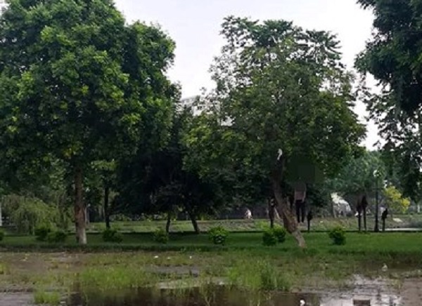 Hà Nội: Phát hiện người đàn ông tử vong trong tư thế treo cổ ở hồ Đền Lừ