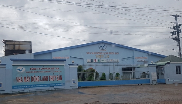 An Giang: Doanh nghiệp thủy sản vỡ nợ, người nuôi cá tra gặp khó khăn