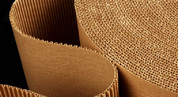 Công ty CP giấy Hoàng Hà Hải Phòng sẽ lên sàn chứng khoán vào ngày 08/08