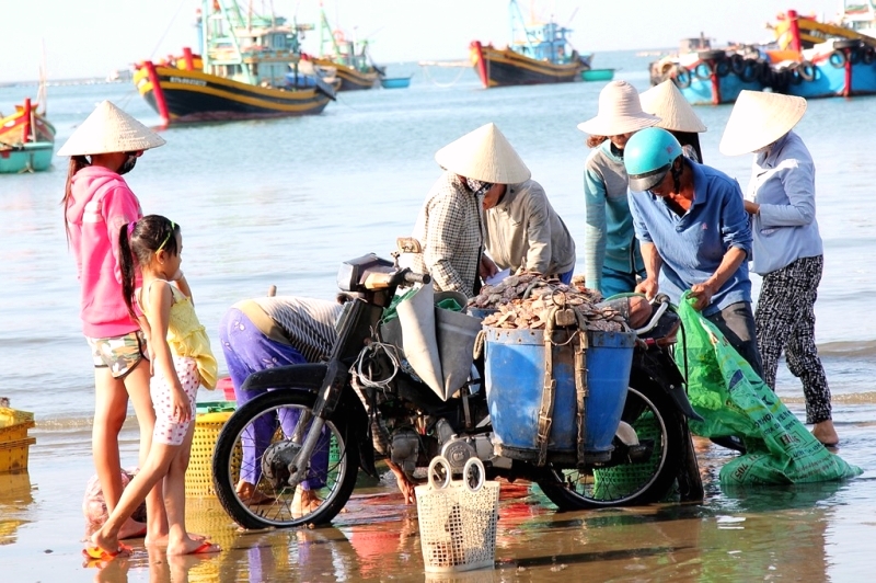 TP. Đà Nẵng: Những phiên chợ thực phẩm sạch - Hình 2