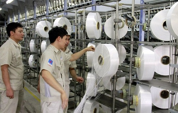 PVTex đã nhìn thấy lợi nhuận trong bối cảnh khó khăn trăm bề